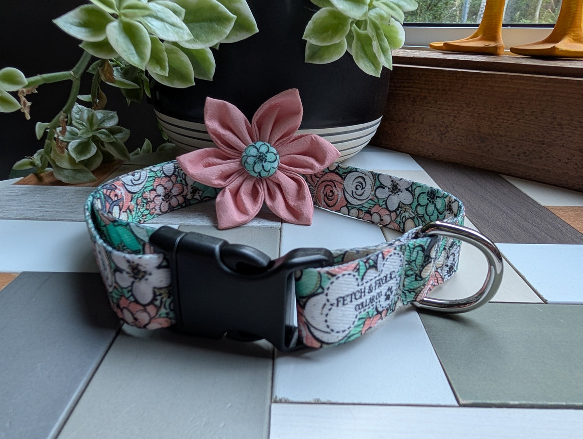Everyday Collars