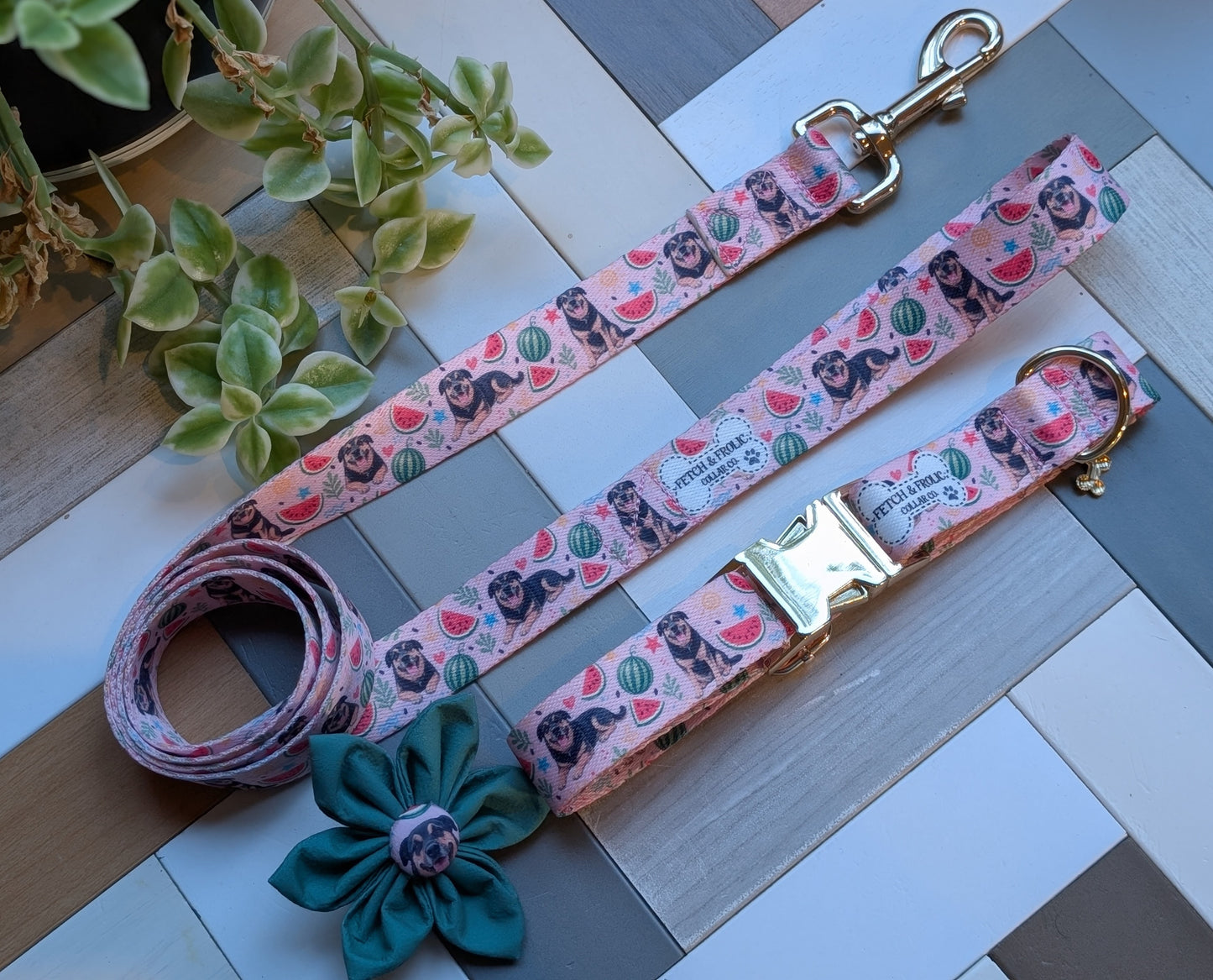 Custom Dog Collar & Leash Set – Featuring Your Dog