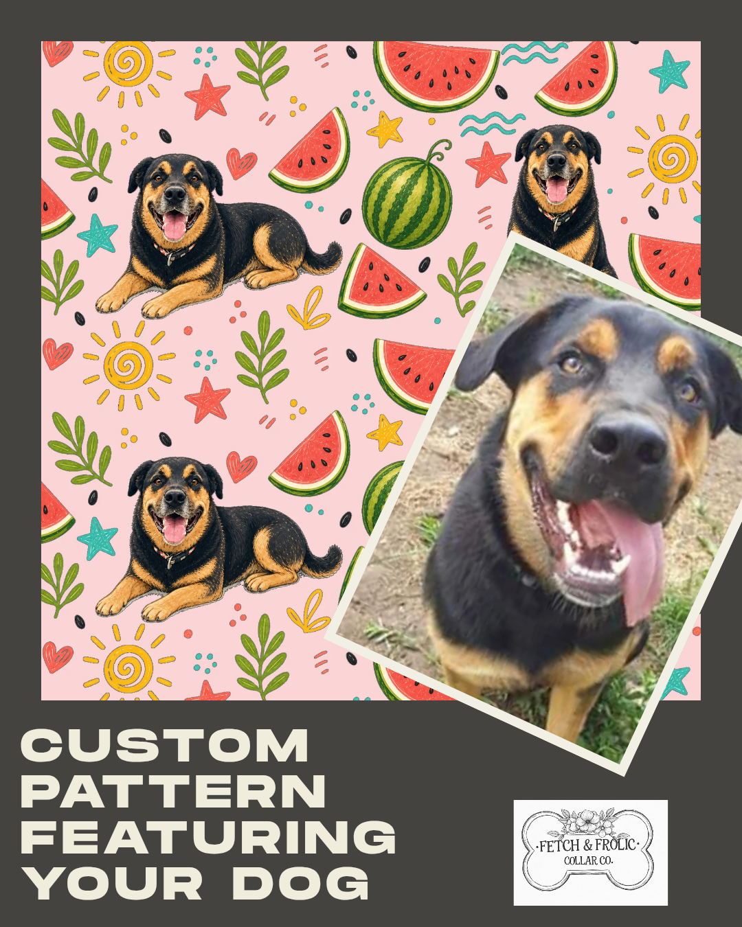 Custom Dog Collar & Leash Set – Featuring Your Dog