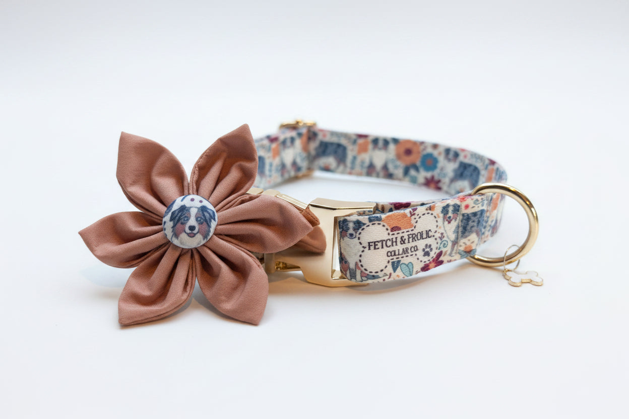 Custom Dog Collar & Leash Set – Featuring Your Dog